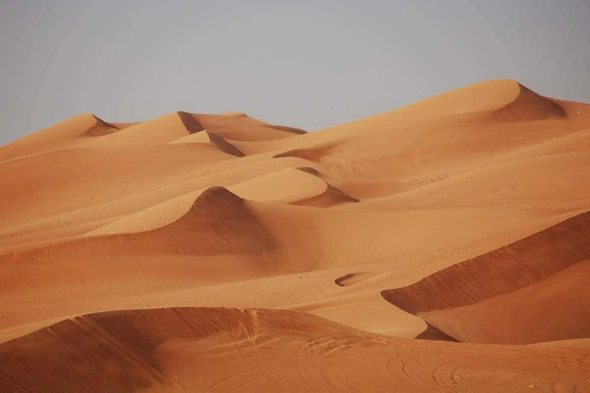 Desert Safari with Dinner & Show