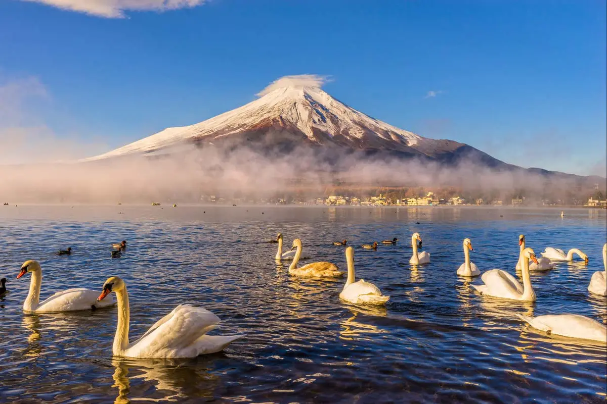 Excursión al monte Fuji + Recogida de fruta