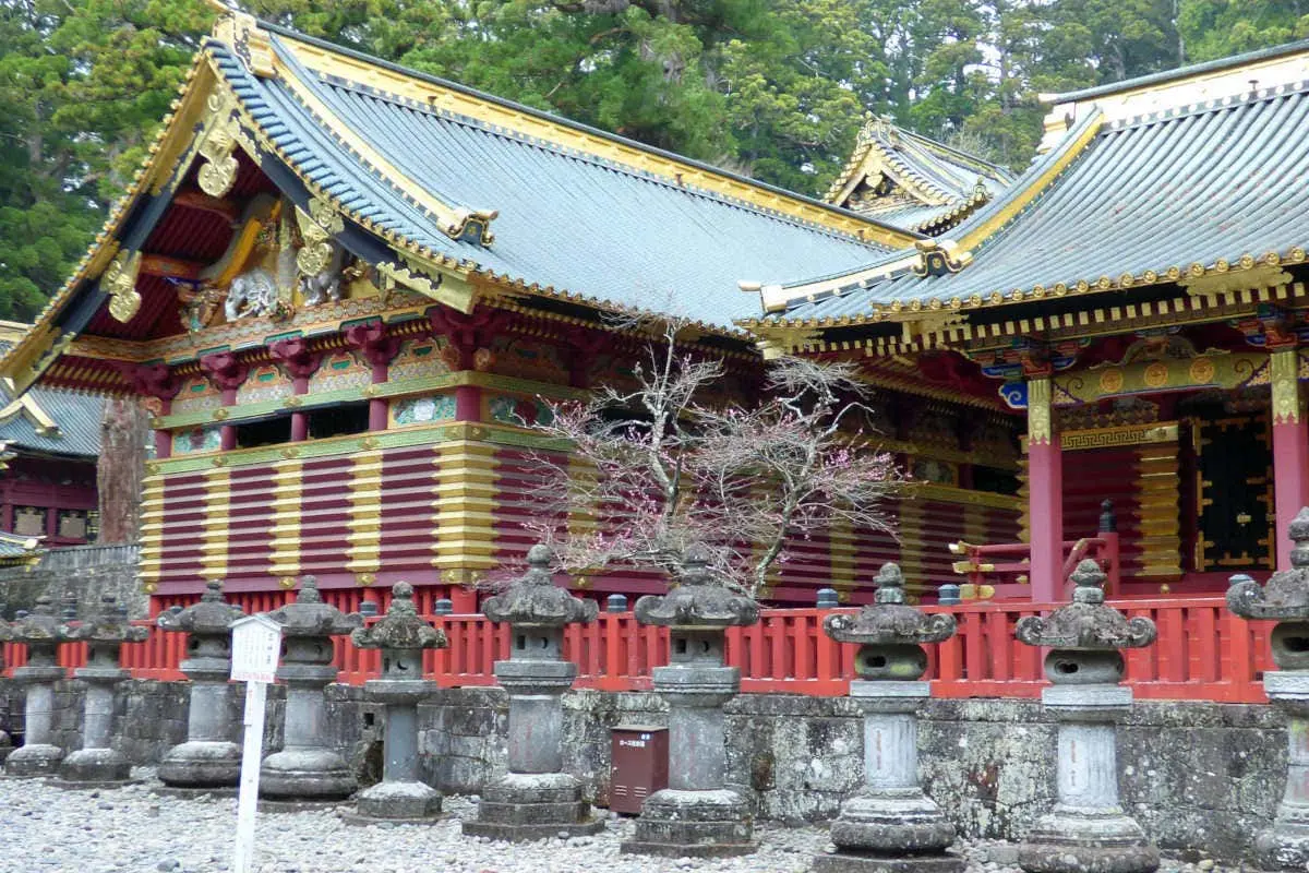 Nikko Private Day Trip