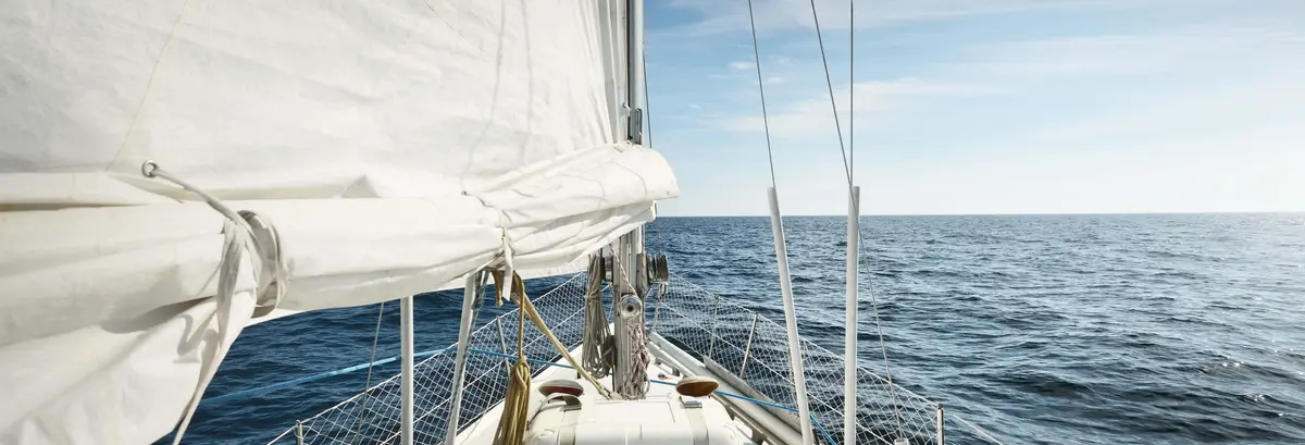 Fjord Sightseeing Cruise