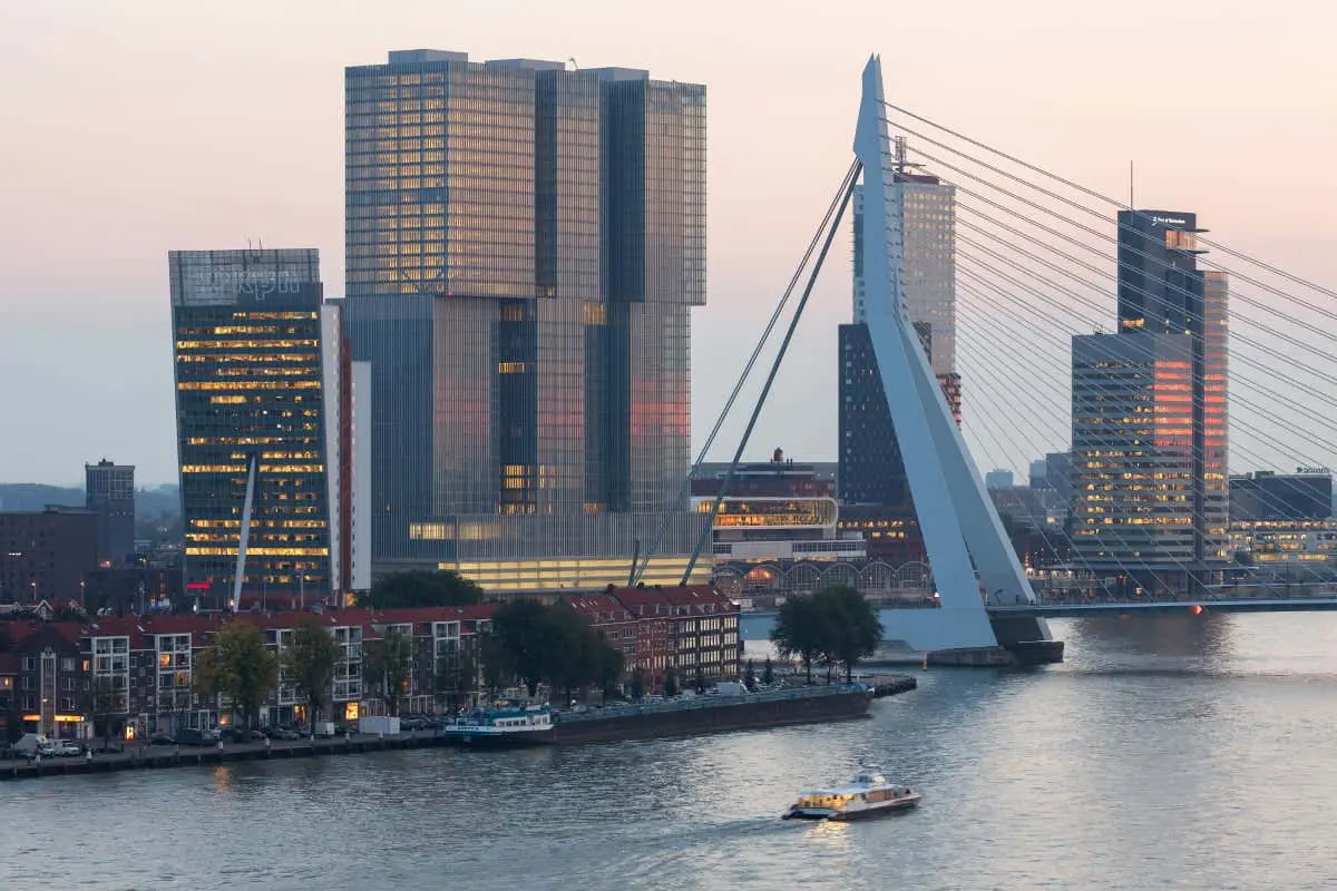 Guided Walking Tour of Rotterdam