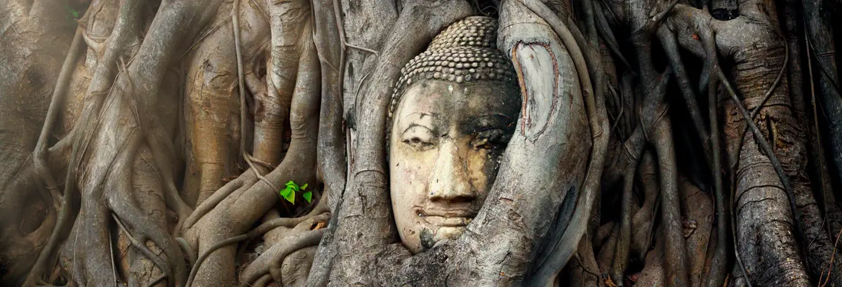 Railway Market, Floating Market, & Ayutthaya Ruins Day Trip