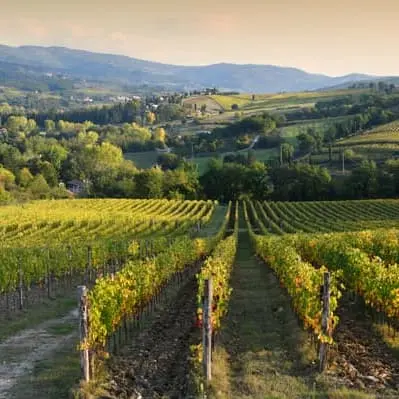 San Gimignano: Medieval Treasure and Wine Tasting - سان گیمیگنانو