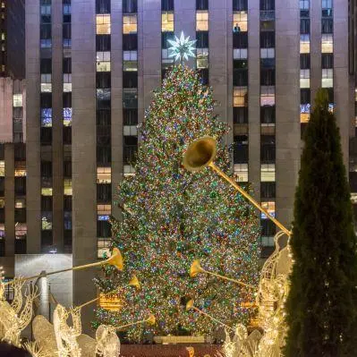 Ammirare l’albero di Natale più famoso del Mondo al Rockfeller Center - New York City NY
