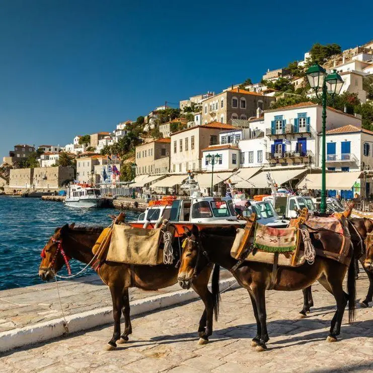 1 Day Cruise to the Islands (Aegina-Poros-Hydra) - Atina