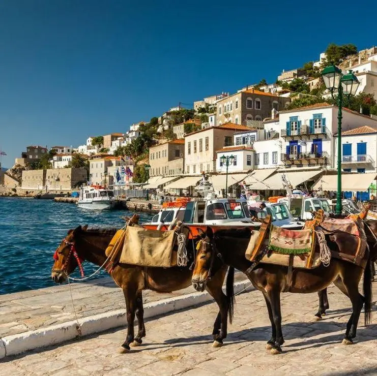 1 Day Cruise to the Islands (Aegina-Poros-Hydra) - Atene