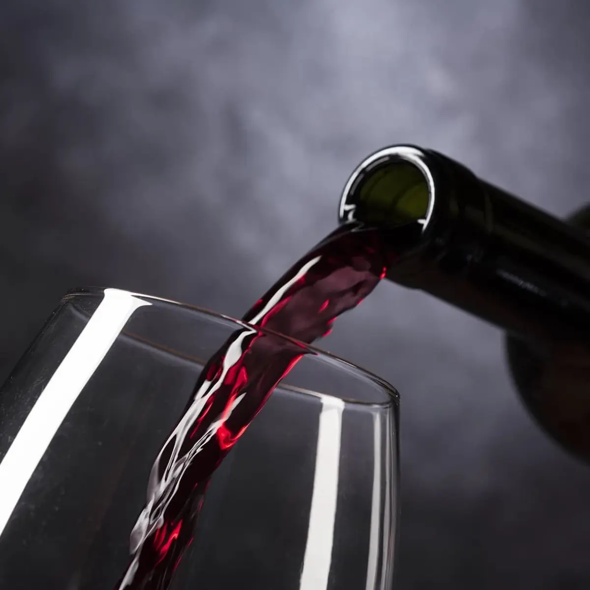 Wine Experience in farm vineyard & winery - Montecarlo de Lucca