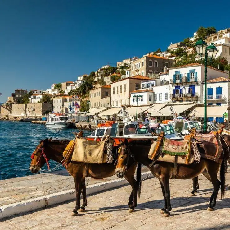 1 Day Cruise to the Islands (Aegina-Poros-Hydra) - Athènes