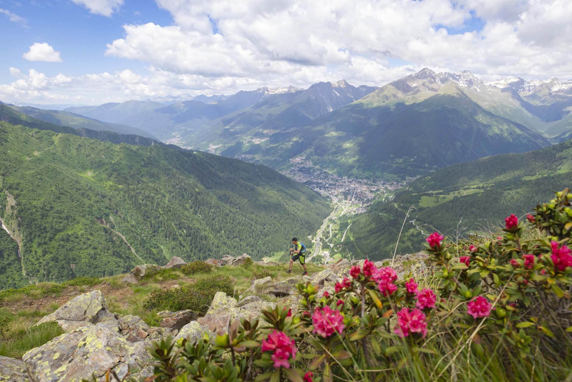 Hotel Negritella, Miscellaneous