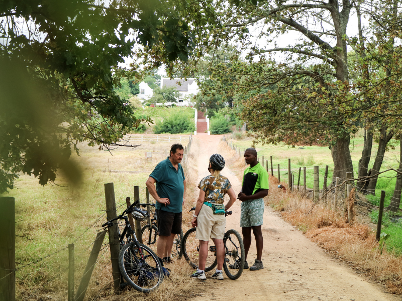 Bikes 'n Wines CC - Stellenbosch Family Tour