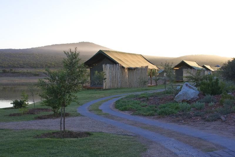 Buffelsdrift Game Lodge - Luxury Tent Overnight Package