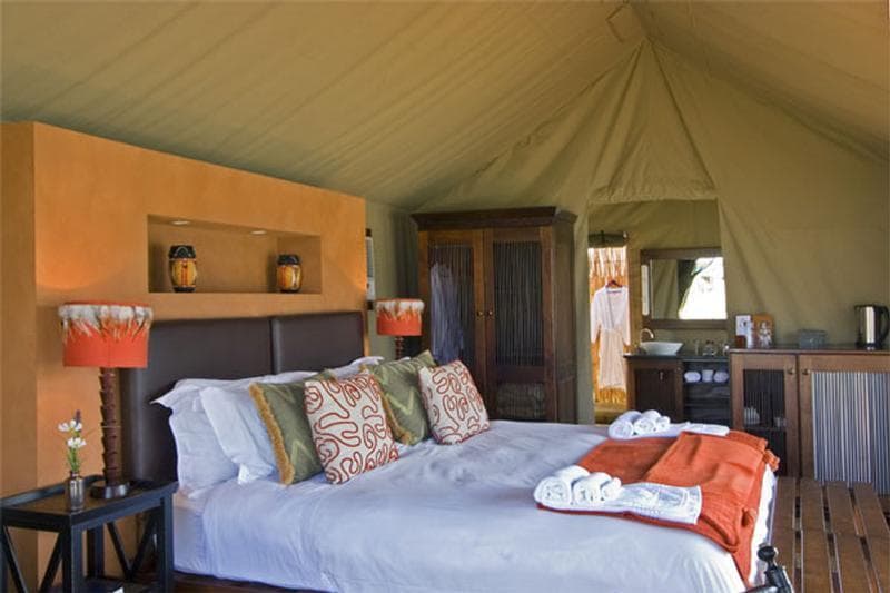 Buffelsdrift Game Lodge - Luxury Tent Overnight Package