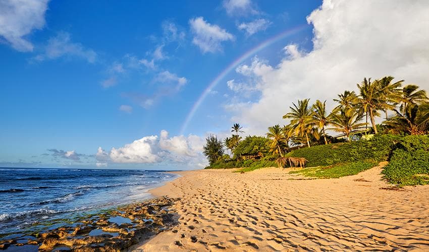 Honolulu Hawaii Experience 7D/6N