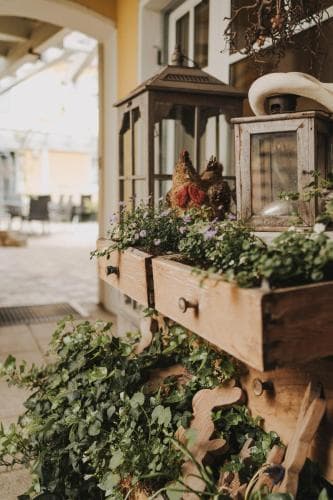 PENSION FUTTERKNECHT, 