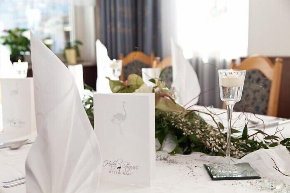 HOTEL STRAUSS, 