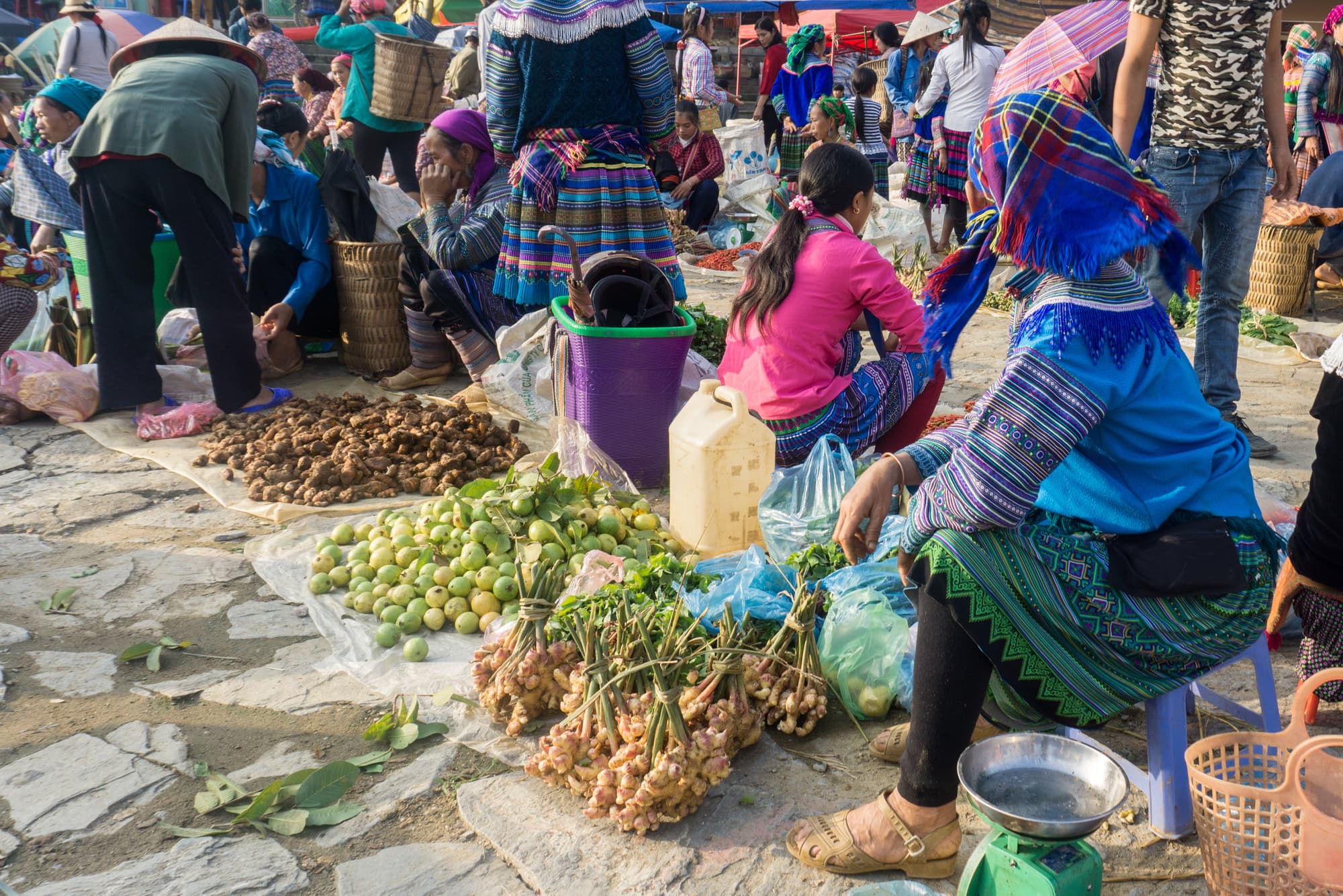 Hiking in Northern Vietnam
