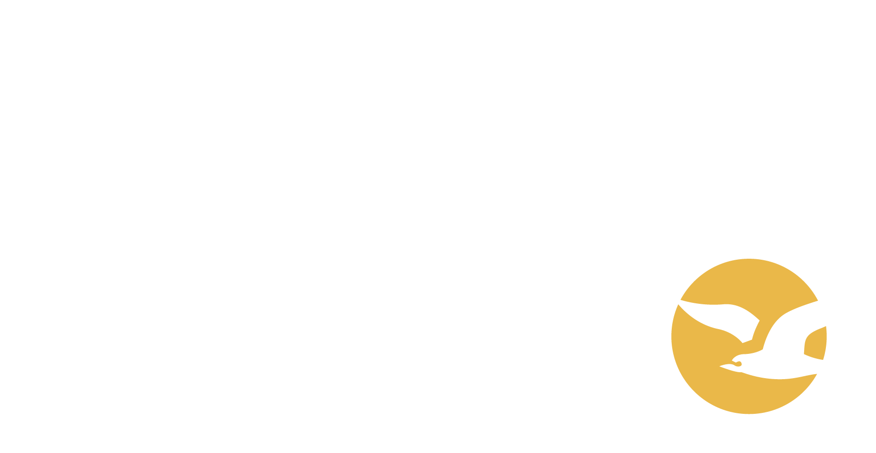 Viajes Libero 	