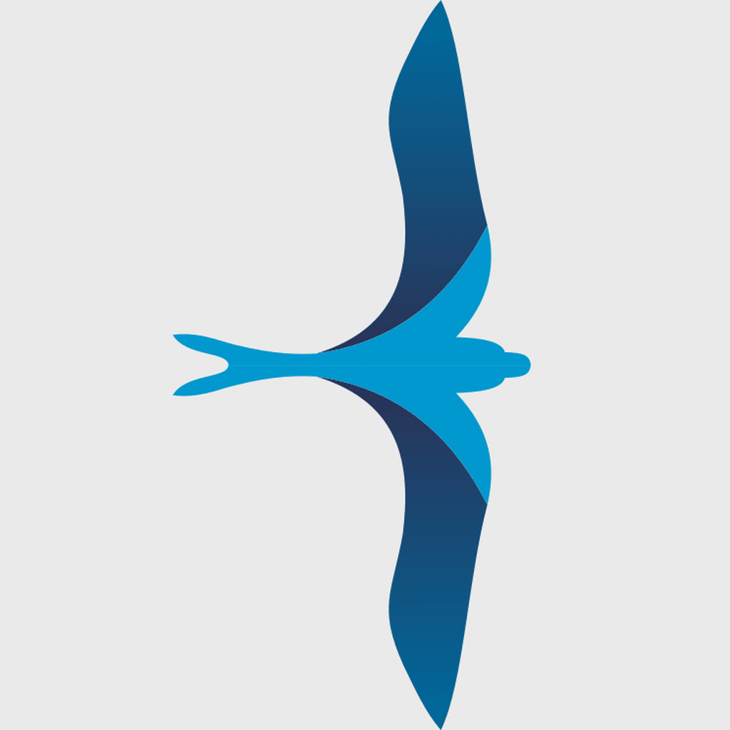 Airswift Transport