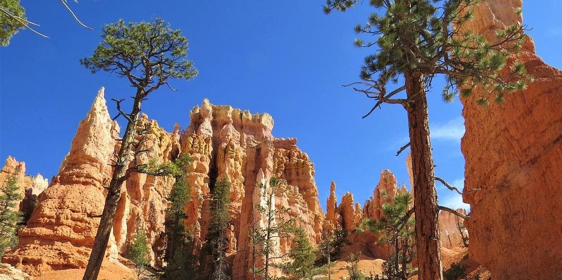 DAY 6: PAGE - ANTELOPE CANYON - BRYCE CANYON (272 km)