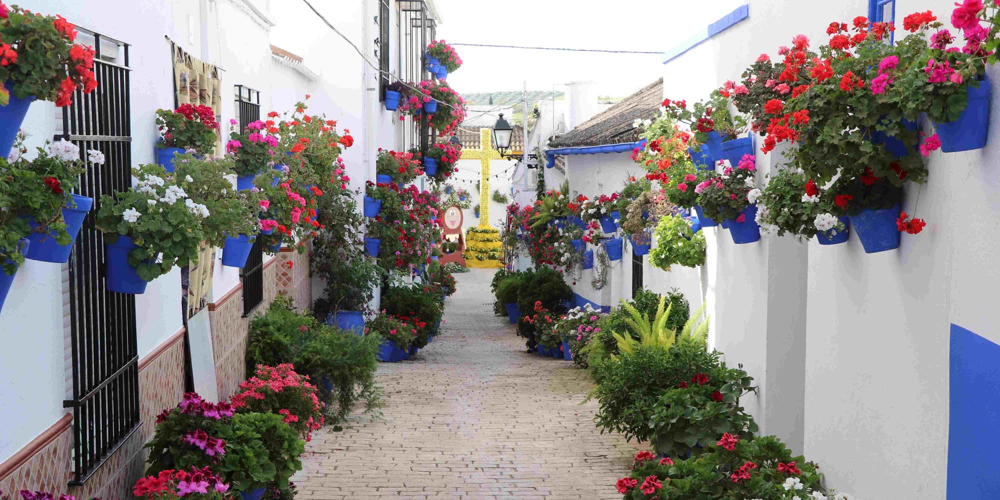 DAY 14: CAÑETE DE LAS TORRES - END OF THE TOUR