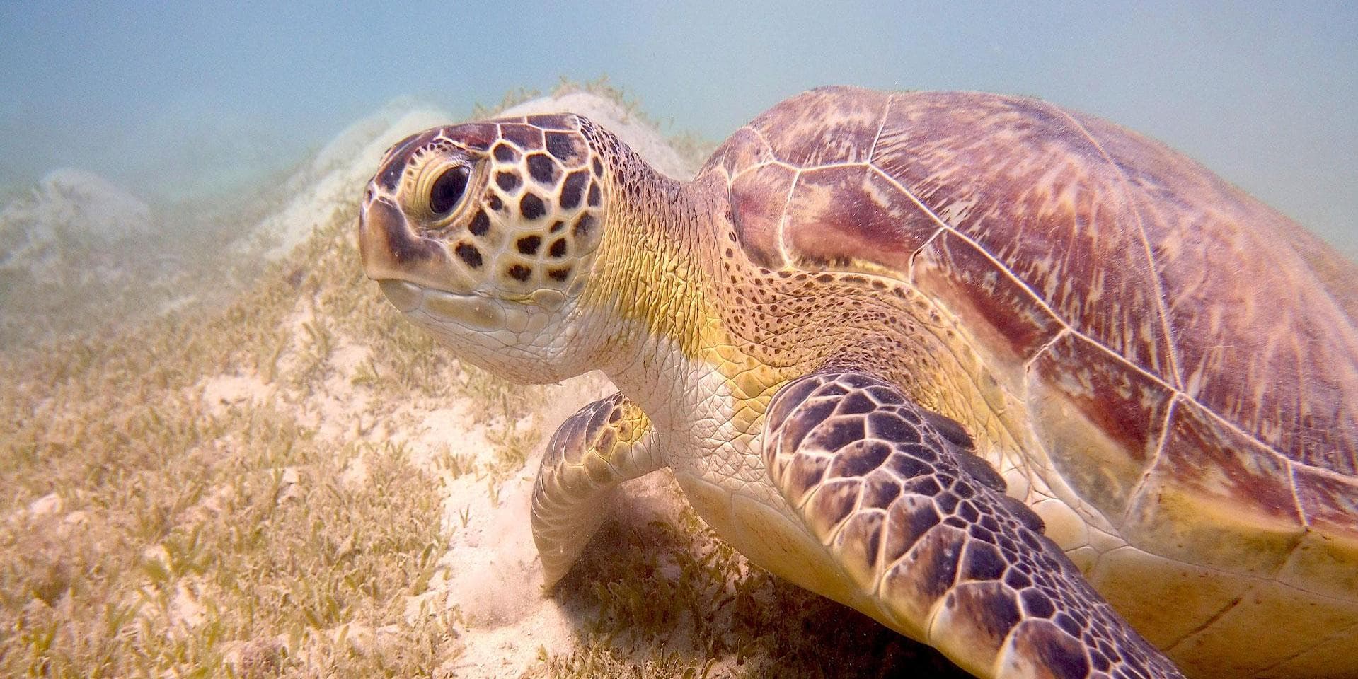 Jour 2 à 7 : Hurghada