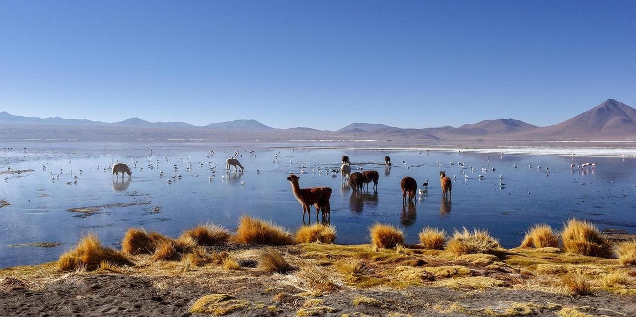 11° giorno: UYUNI​