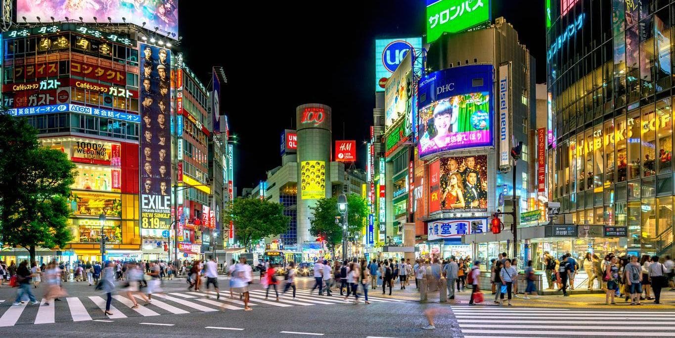 3η Μέρα: Τόκυο (Πρωί: Ξενάγηση της πόλης, Απόγευμα: Ελεύθερο)