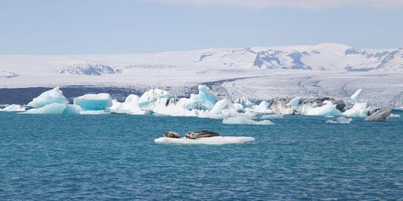 EGILSSTAÐIR/FIORDI ORIENTALI/ SKAFTAFELL/VIK