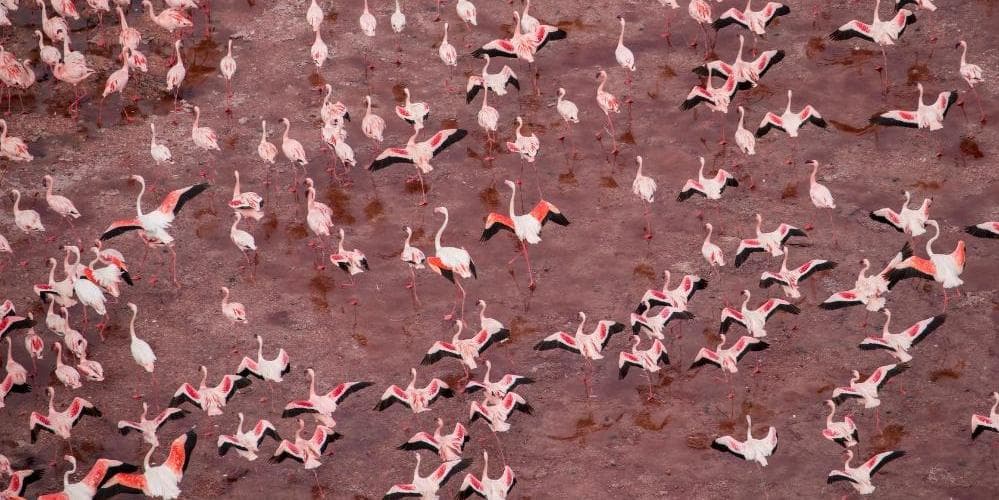 ARUSHA / LAKE NATRON 