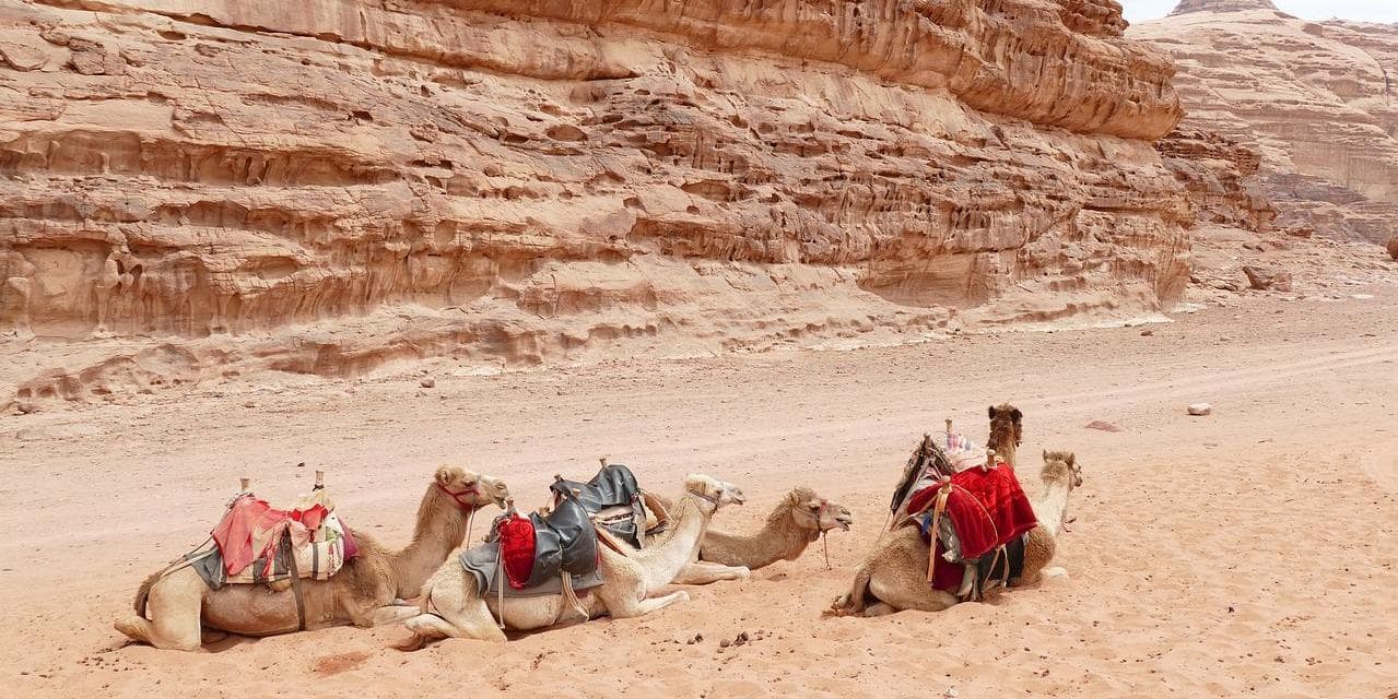 Día 2 | Viernes | AMMAN - MADABA - NEBO - PETRA