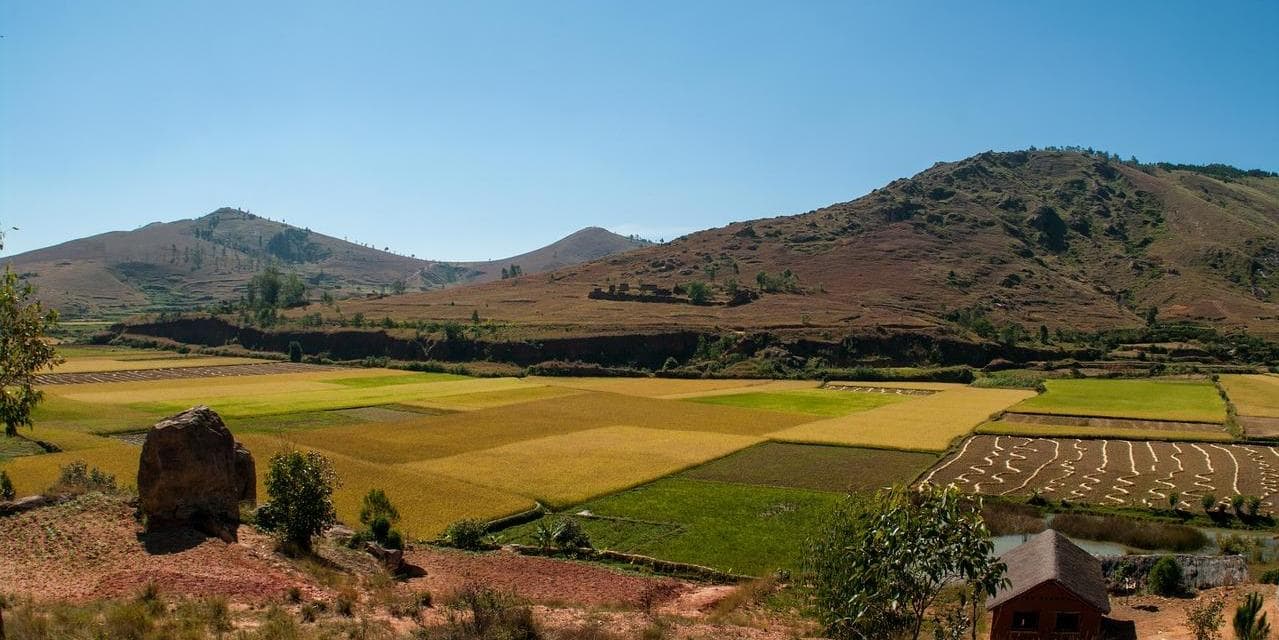 Day 7 Sambava - Visita al Parco privato di Antanetiambo