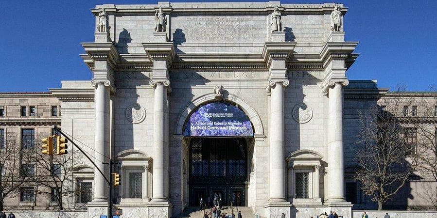 DIA 07 NEW YORK - DIA LIBRE