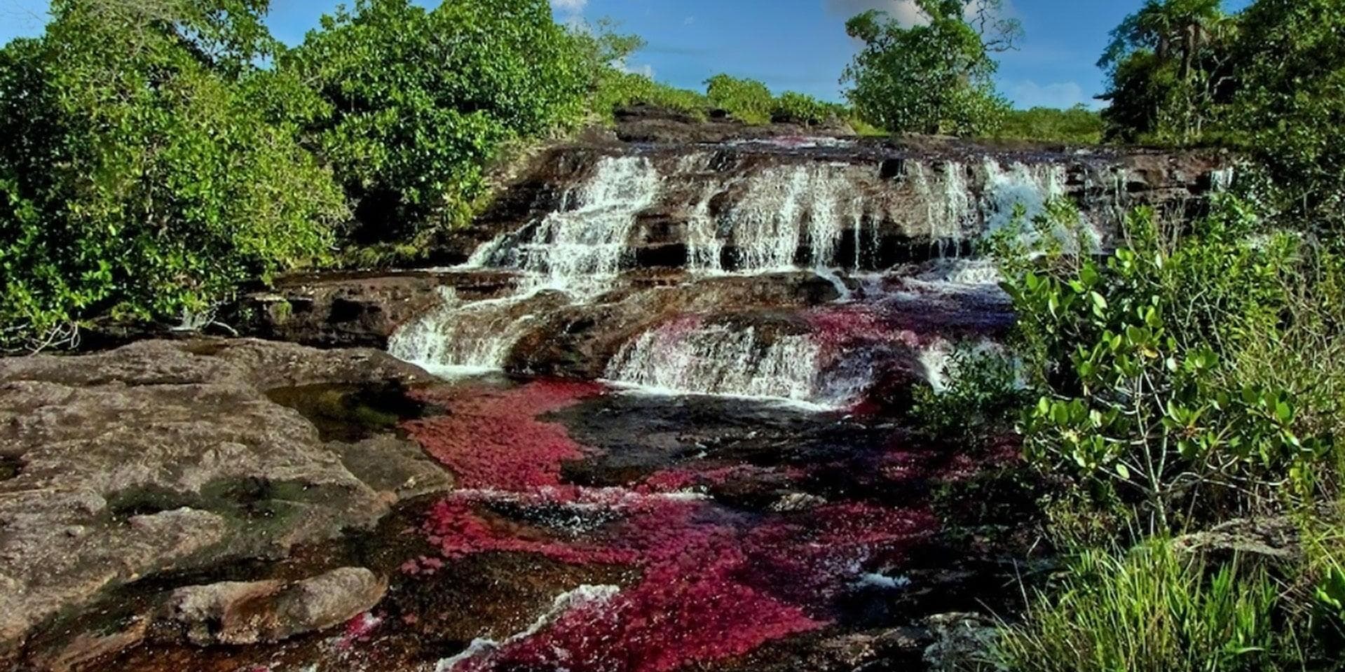 Day 4. Caño Cristales 
