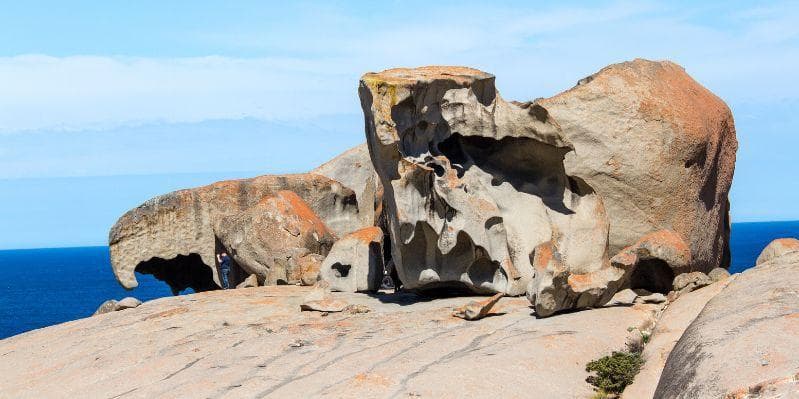 KANGAROO ISLAND / ADELAIDE