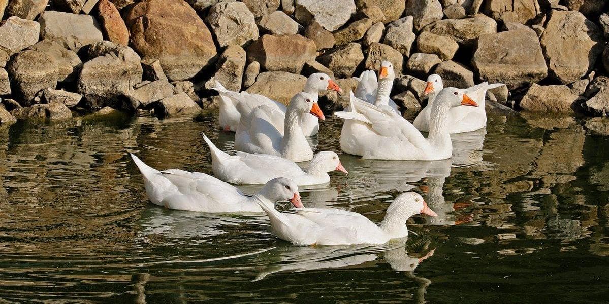 Day 2: Nature and Culture