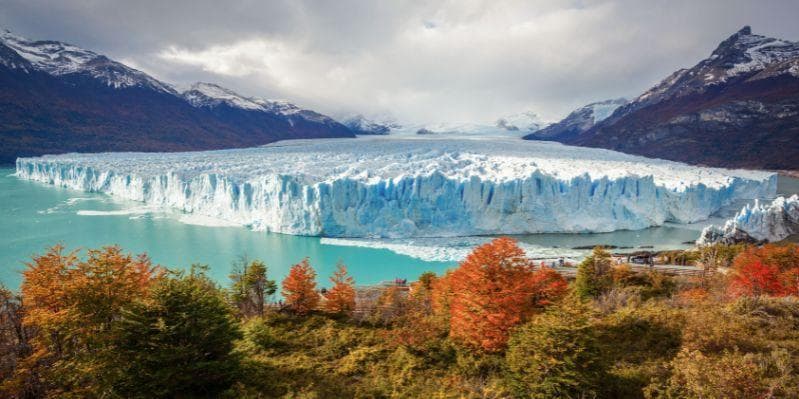 EL CALAFATE / EL CHALTÉN