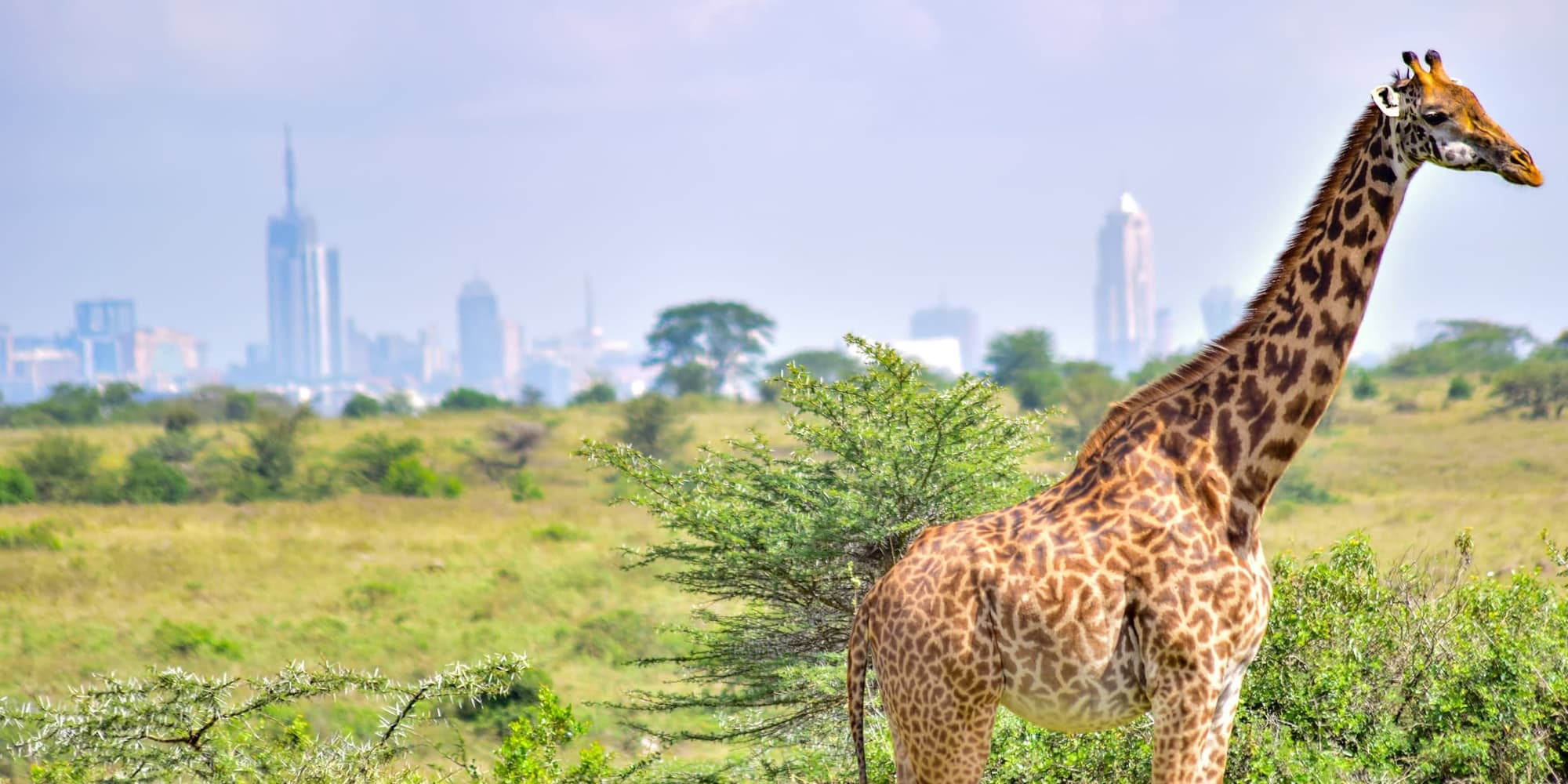 1° giorno:  NAIROBI