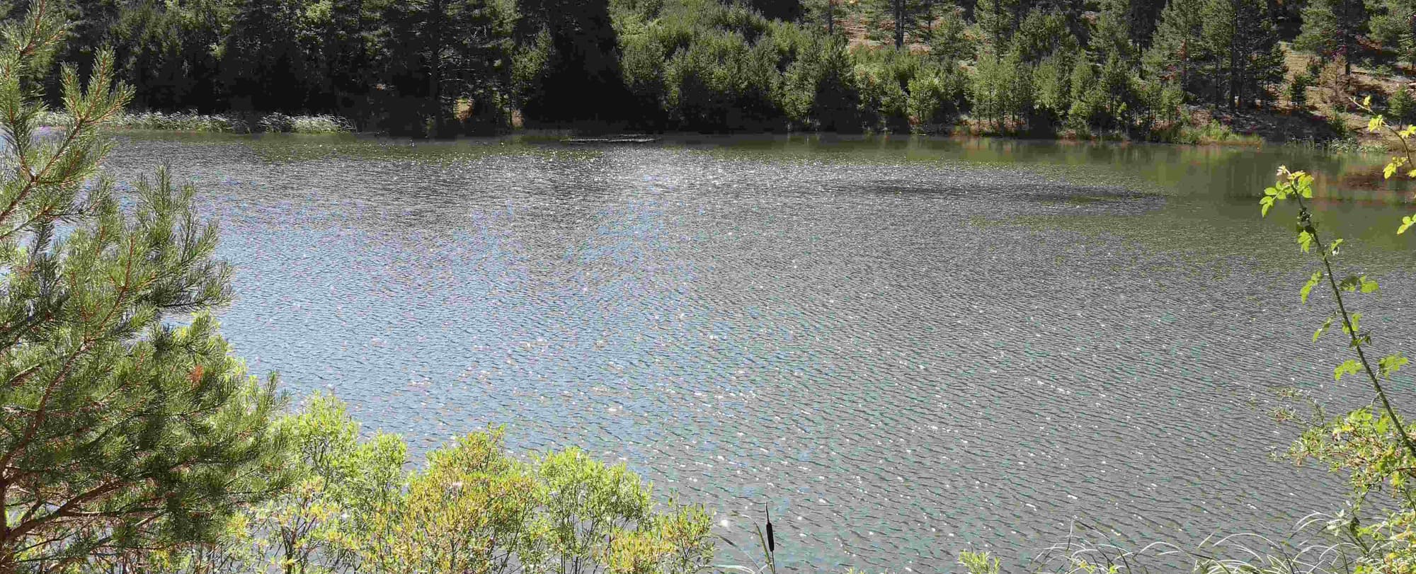 DAY 1: ORIHUELA DEL TREMENDAL