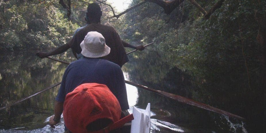 Day 8 : Dzanga Sangha – Yokadouma