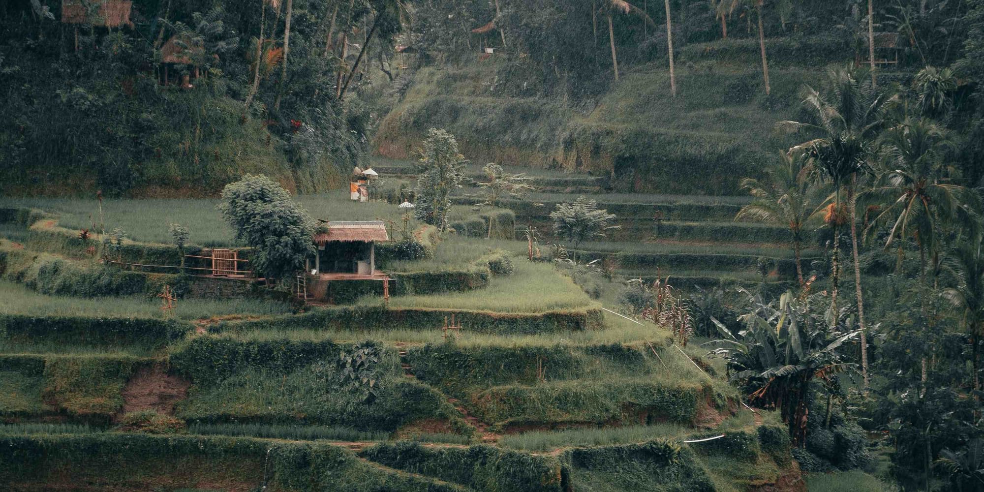 Day 9: Free day in Bali - Return flight to Athens