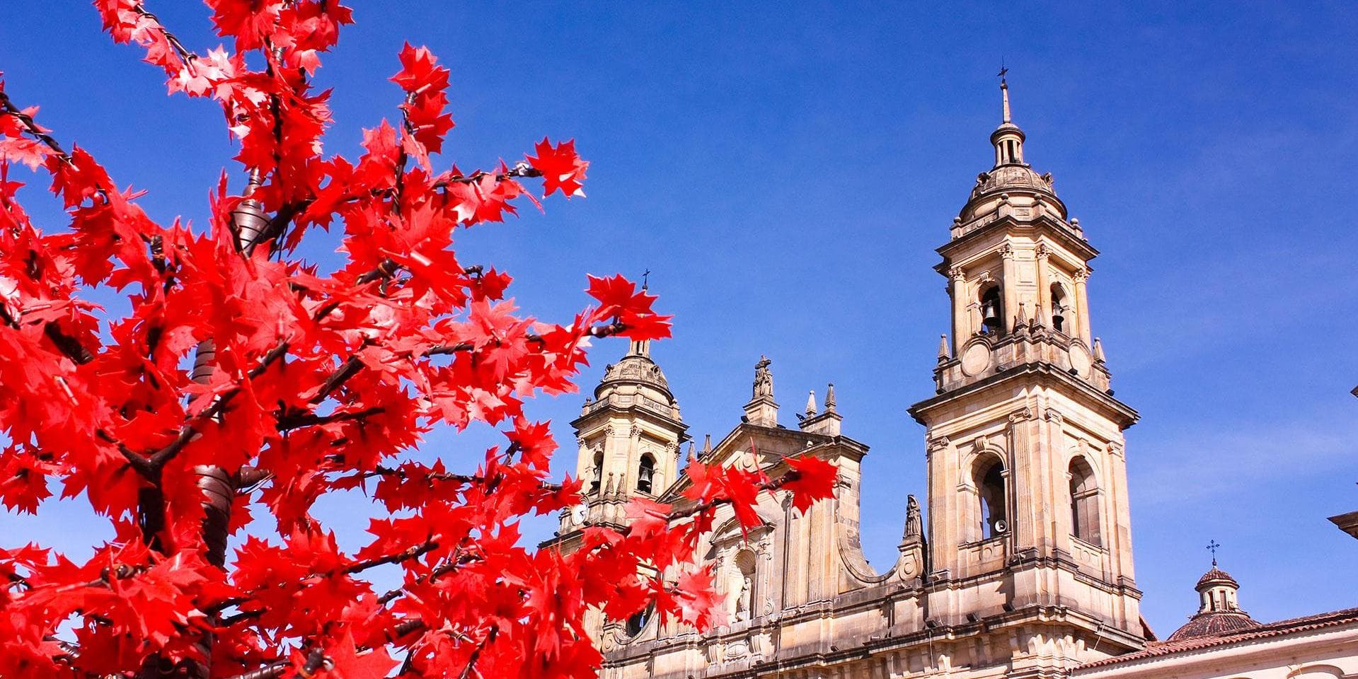 Day 8. Cartagena and Bogotá - Departure transfer and arrival transfer