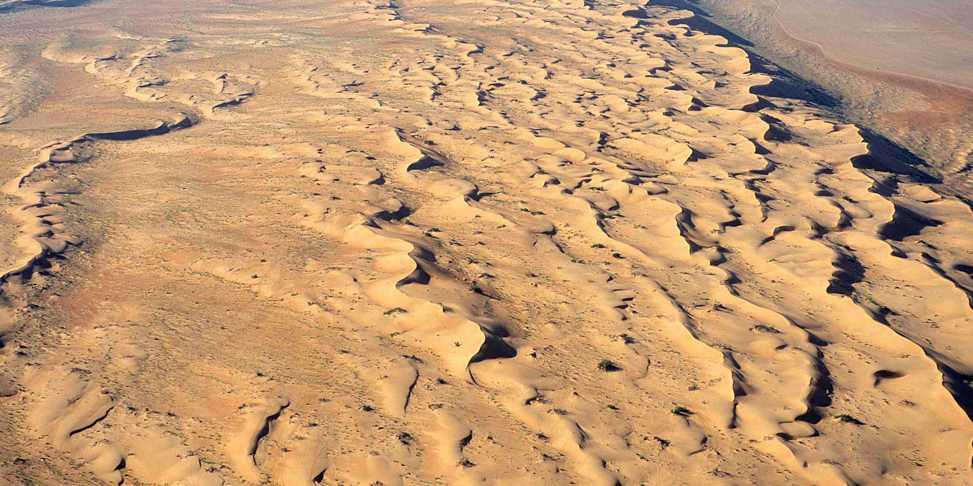 Jour 5 : Petra la Rose