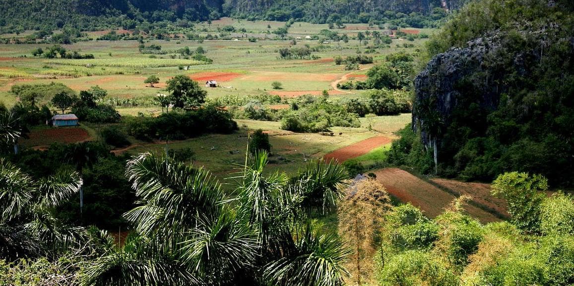 Giorno 03: AVANA – VIÑALES – AVANA