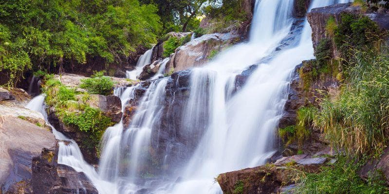 CHIANG MAI / PARCO N.LE DOI INTHANON / CHIANG MAI