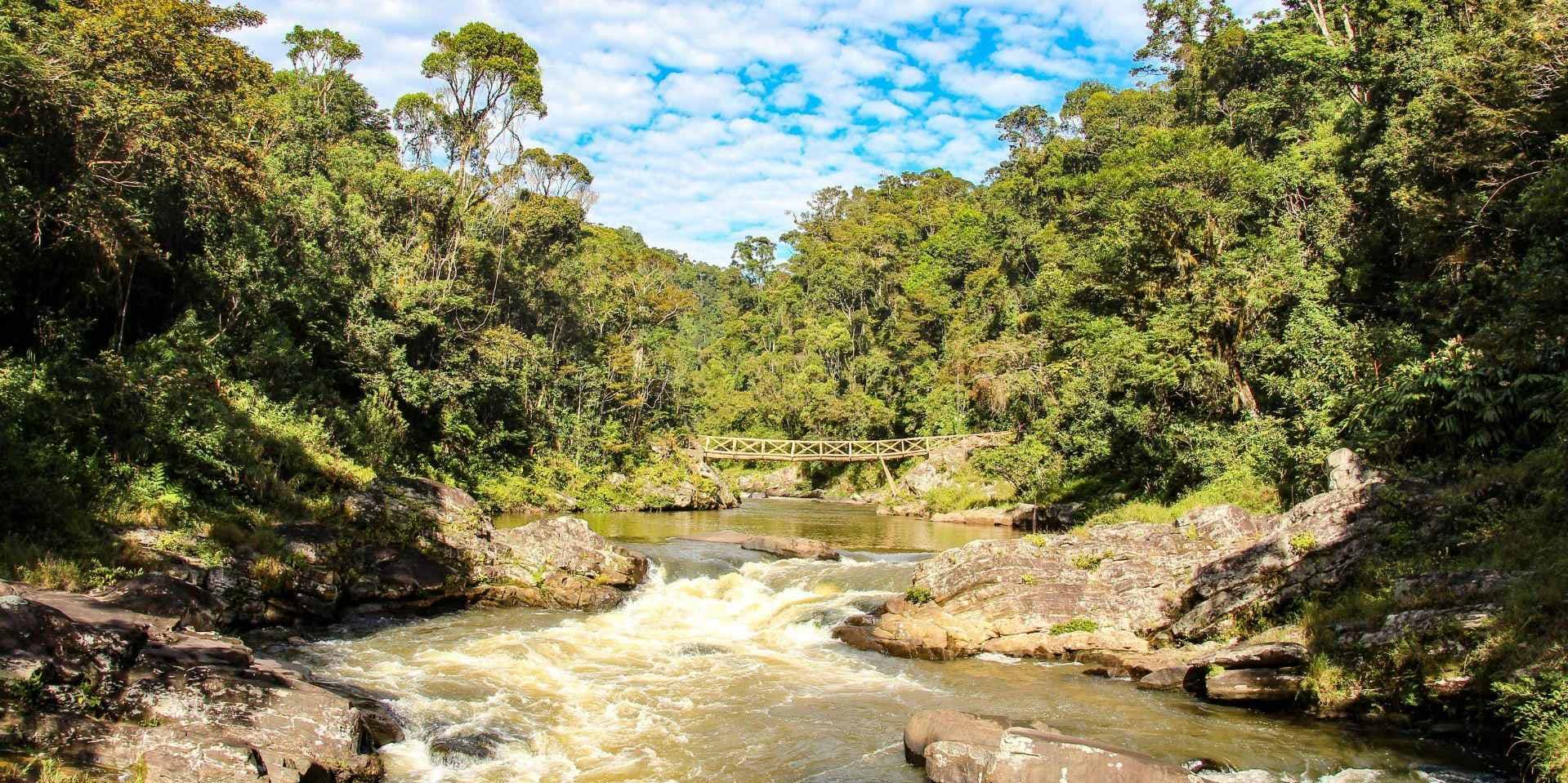 Jour 4 : Antsirabe - Ranomafana (Environ 230 kms 8h)