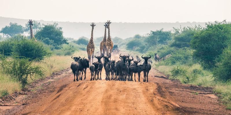 MPUMALANGA/RISERVA PRIVATA