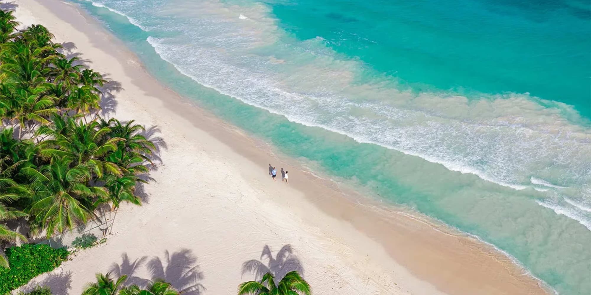 DÍA 4 DESPEDIDA DE CANCÚN