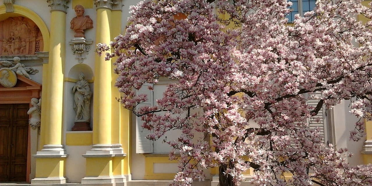 6º Giorno – VARSAVIA