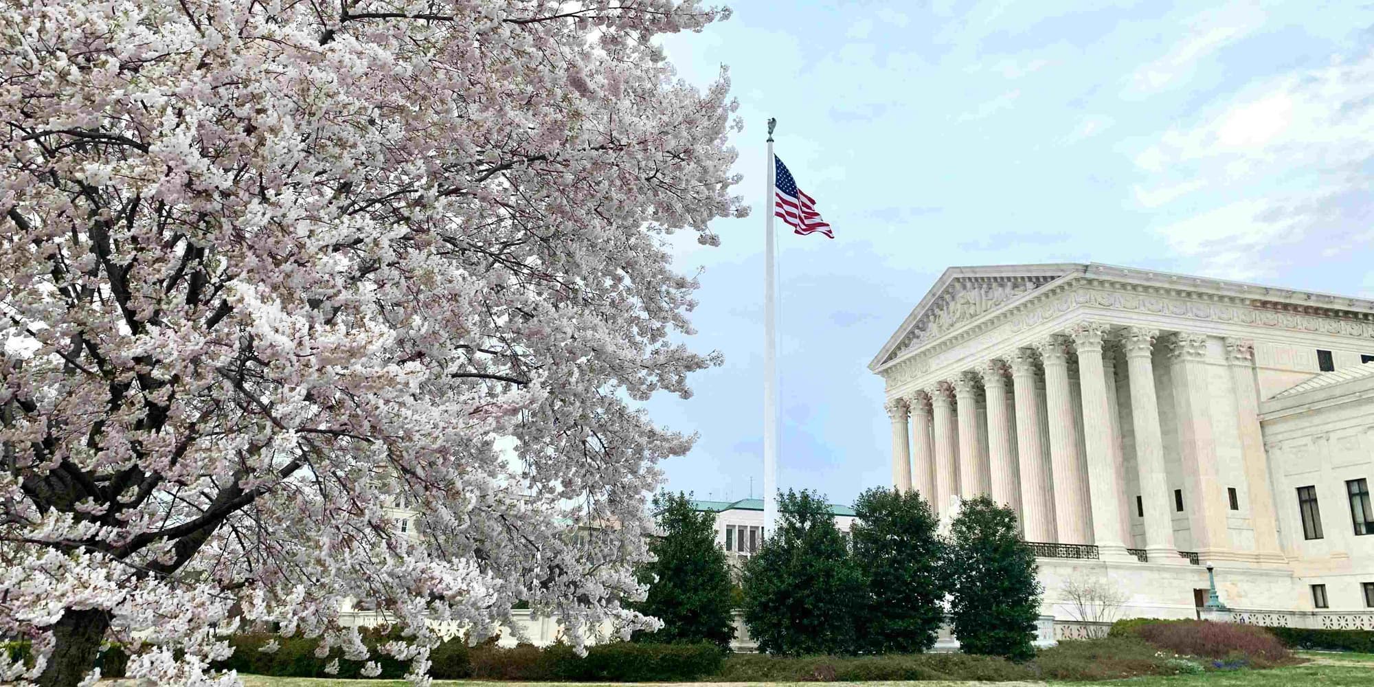 GIORNO 4: (Sabato) WASHINGTON D.C.