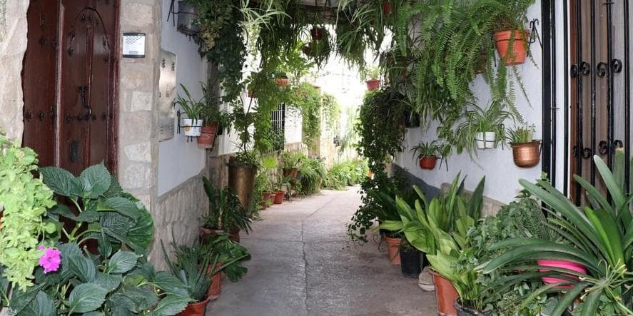 DAY 2: ORCERA → IZNATORAF